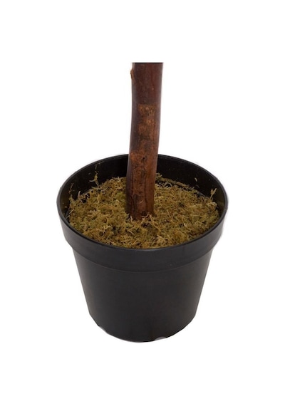 Yapay Zeytin Ağacı 120Cm Tek Gövdeli Doğal Gerçek Görünümlü Yapay