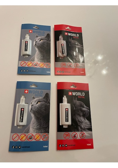 Kedi İç Bağırsak