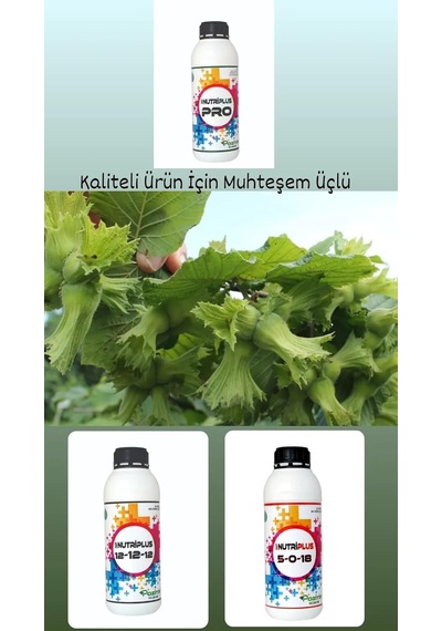 Tüm Sebze Meyve Ağaçları Çiçeklendirici Yaprak Coşturucu Zeytin Bağ Fındık 5 Lt Bitki Besini 1