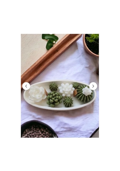 Kayık Tabakta Saksıda Kaktüs Seti 8 Li Mini Dekoratif Sukulent, Kokulu, Hediyelik Mum Seti %100 Soya Beyaz