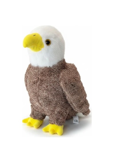 Pl50253 45 Cm Kartal