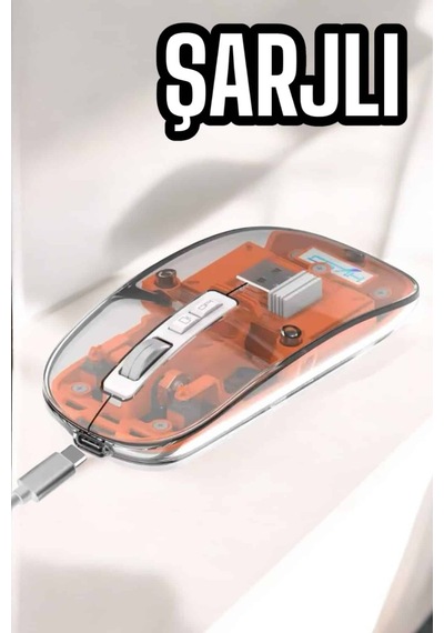 Kablosuz Mouse Fare 5.0 Bluetooth Bağlantılı Usb Girişli Diğer