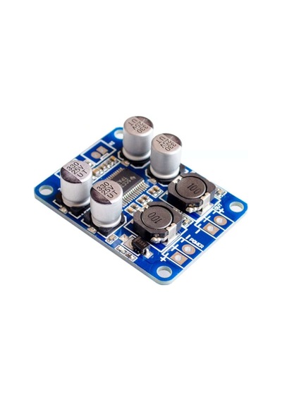 Modülelektronik-Tpa3118 Pbtl Mono Dijital Anfi Kartı 1X60W
