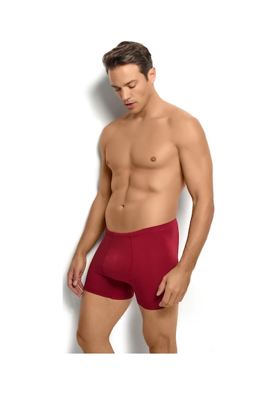 Jiber Erkek Bambu Bordo Boxer 278
