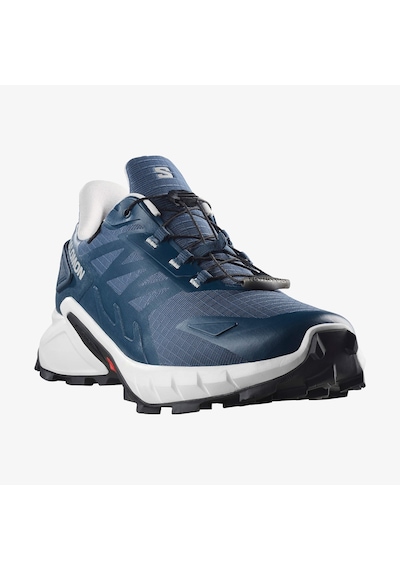 Salomon Supercross 4 Gtx Spellbound/lunar Rock/black Erkek Ayakkabı L45447400 Mavi