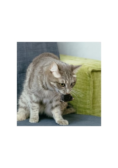 4'lü Set Hareketli Fare Şeklinde Kedi Oyuncağı, Peluş Ve Eğlenceli