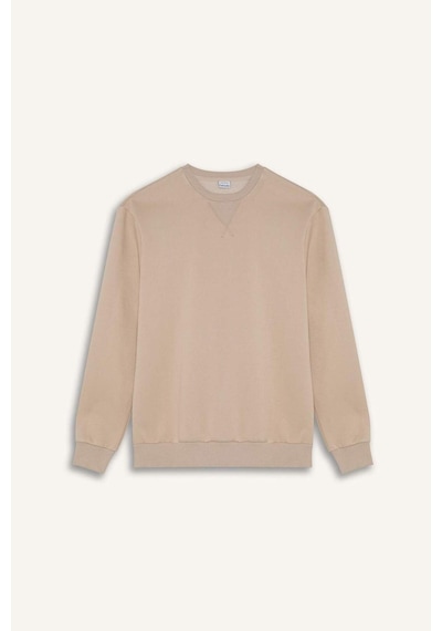 DeFacto Regular Fit Bisiklet Yaka Kalın Basic Düz Sweatshirt T3777AZ25SPBG735