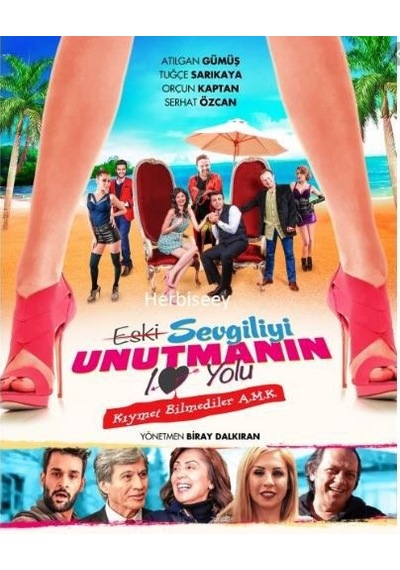 Eski Sevgiliyi Unutmanın 10 Yolu DVD