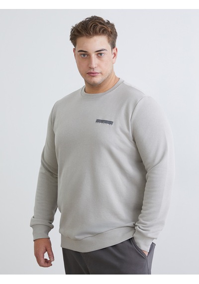 Lcwaıkıkı Classic Gri Bisiklet Yaka Baskılı Erkek Sweatshirt