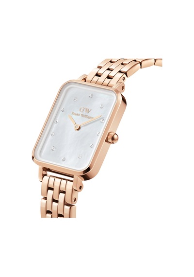 Daniel Wellington Dw00600620 Kadın Kol Saati Diğer