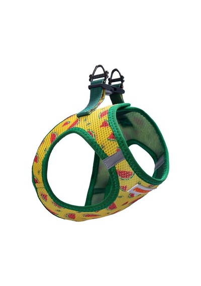 Air-mesh Watermelon Köpek Göğüs Tasması M Çok Renkli