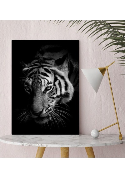 Bk Home Kaplan Tasarımlı Kanvas Tablo 30X50Cm-1 (496789463)
