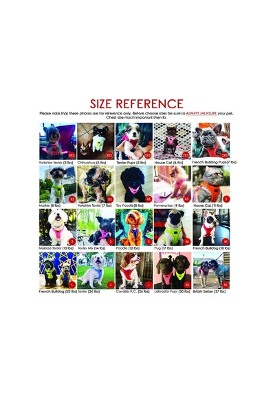Air-mesh Küçük Ve Orta Irk Kedi Köpek Göğüs Tasması - Yumuşak, Nefes Alabilir, Dayanıklı Ocean, Xsmall