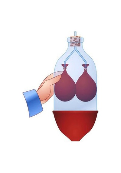 Akciğer Solunum Deney Seti 1 Adet Kutulu Plastik Şişe Y Borusu Balon Tıpa Akciger Model Yapımı Deney Fen
