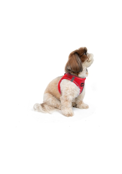 Air-Mesh Küçük ve Orta Irk Kedi Köpek Göğüs Tasması - Yumuşak, Nefes Alabilir, Dayanıklı PARLAK KIRMIZI 3XS