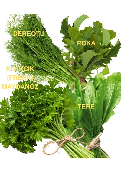 Tohum Seti Kıvırcık Frenk Maydanoz, Tere, Roka Ve Dereotu 10 Gr.' Lık Paketler 10 Gr.