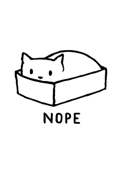 Nope Cat - Kedi Kupa Bardak Çok Renkli