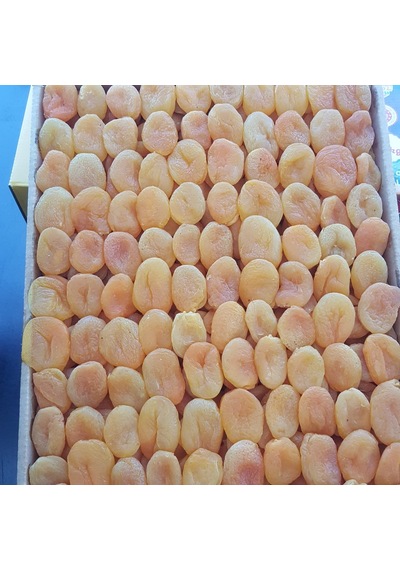 Toptan Lüks Ortaboy Sarı Kayısı 3 No 10 Kg 10 KG