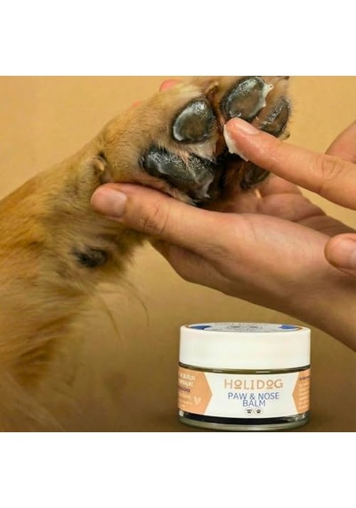 %100 Doğal Köpek Pati Ve Burun Balmı Lavanta Kokulu Yoğun Nem & Onarıcı Bakım Bakanlık Onaylı