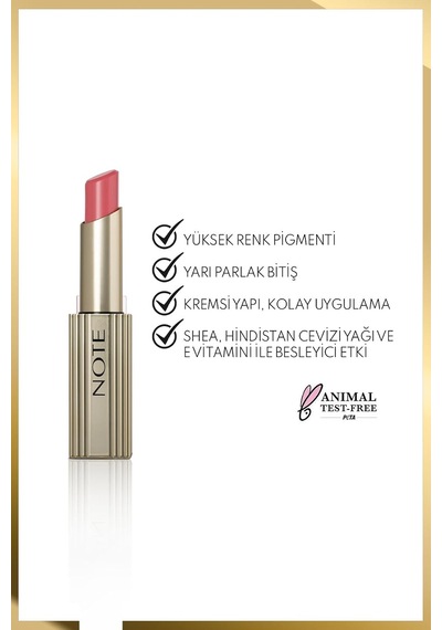 Aura Silk Lipstick 05 Desert Rose Kremsi Yarı Parlak Ruj - Nude Çok Renkli Aura Silk Lipstick 05 Desert Rose Kremsi Yarı Parlak Ruj - Nude Çok Renkli