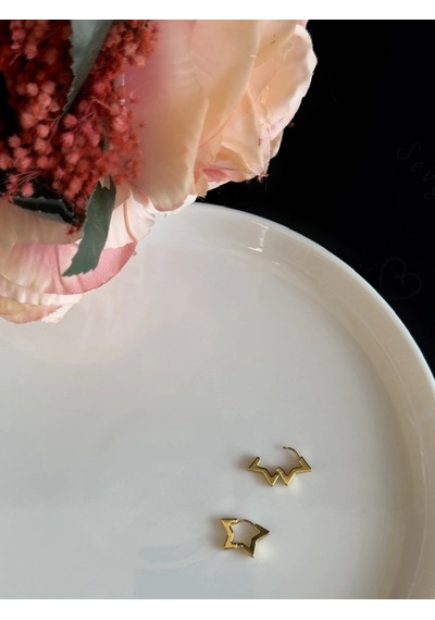 Yıldız Figürlü Çelik Küpe -lotus Serisi Gold
