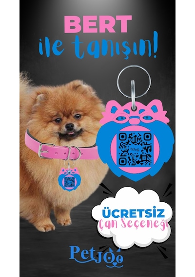 Petjoo 13.Bert Mavi-Pembe Qr'lı Köpek Künyesi
