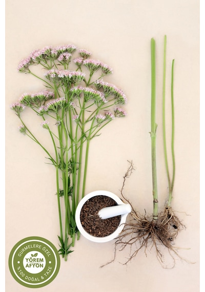 Bursa Uludağ'ın Yorgun Zihinlere Nefes Aldıran Şifası Kediotu Kökü Valeriana Officinalis 55gr