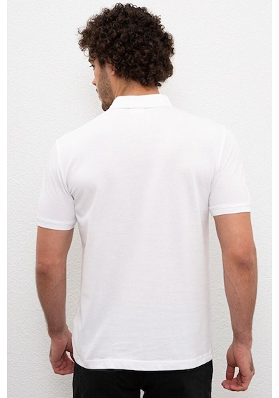 U.S. Polo Assn. Erkek Polo Yaka T-shirt Renkli