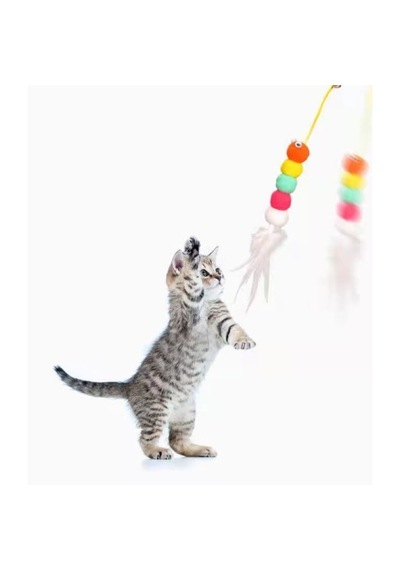 Elastik Yapışkanlı Kedi Oyuncağı Çanlı Esnek Oltalı Kedi Oyunu