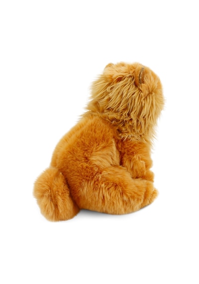 Chow Chow (Çin Aslanı) 28 cm