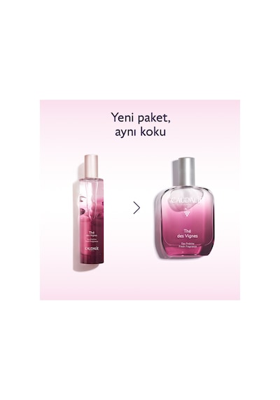 Caudalie Thé Des Vignes Aromalı Parfüm 100 Ml Aromatik