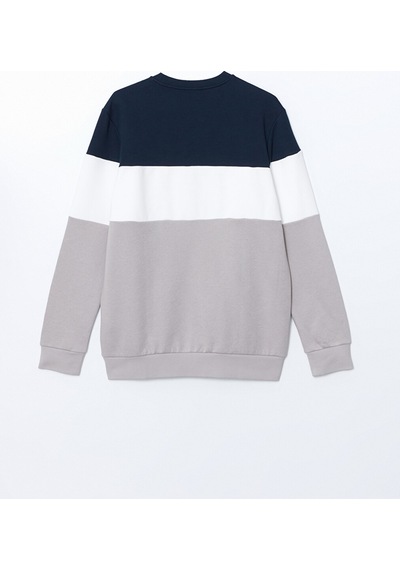 Lcwaıkıkı Classic Bej Bisiklet Yaka Uzun Kollu Renk Bloklu Erkek Sweatshirt