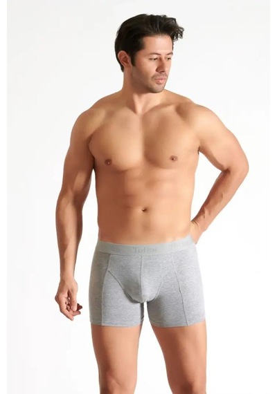 Tutku Erkek Likralı Boxer Gri
