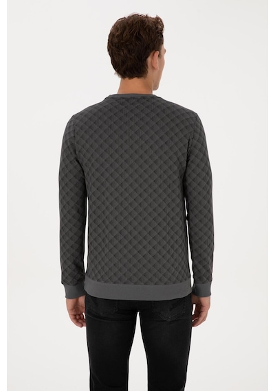 U.S. Polo Assn. Erkek Regular Fit Bisiklet Yaka Pamuk Antrasit Sweatshirt 2245989