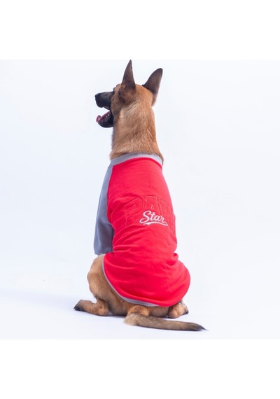 Kırmızı Boston Pawstar Sweat Orta-büyük Irk Köpek Sweatshirt Köpek Sweat Köpek Kıyafeti