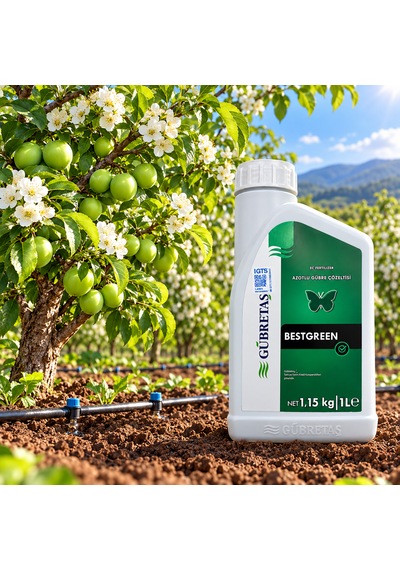 Gübretaş Bestgreen %25 Azot + %5 Magnezyum İçeren Sıvı Gübre: 1 Litre 1 L