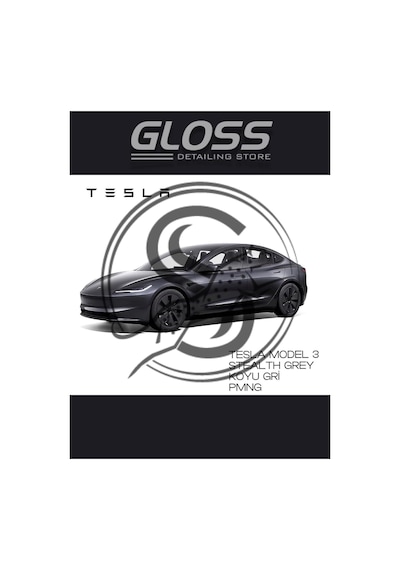 Tesla Model 3 Stealth Grey Koyu Gri Pmng Profesyonel Rötuş Boyası 30ml, Model3-pmng