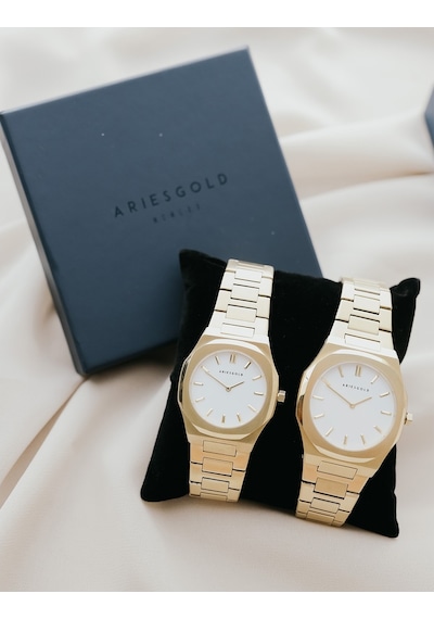 Aries Gold G 1031 G-WG Erkek Kol Saati
