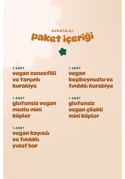 Hummorganic Organik Vegan Ara Öğün Atıştırmalık Paketi- 5 adet (5 çeşit)