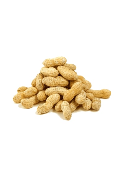 Yemmiş Kabuklu Fıstık 1 KG