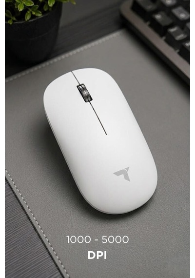 Delux Serisi Tablet Çalışma Bilgisayar Mouse Çift Modlu Sessiz Kablosuz Fare Tm19 Beyaz