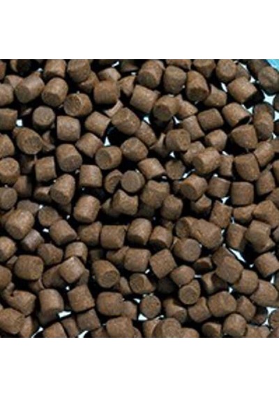 Dip Balık Yemi 6mm 100gram