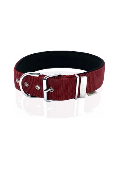 Doggie Konfor Dokuma Köpek Boyun Tasması Small Kırmızı 5x50-60 Cm Çok Renkli