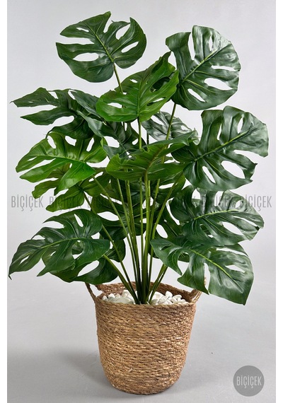 Yapay Monstera Deve Tabani 65 Cm Kulplu Hasir Saksıda Krem