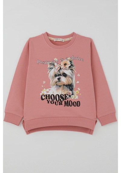 Breeze Kız Çocuk Sweatshirt Sevimli Köpekçik Baskılı Fiyonklu Yazı Baskılı 3-8 Yaş , Gülkurusu