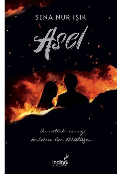 Asel N11.208