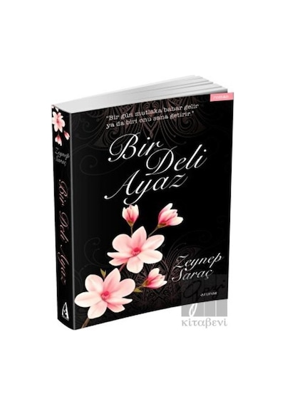 Bir Deli Ayaz - Zeynep Saraç - Arunas Yayıncılık