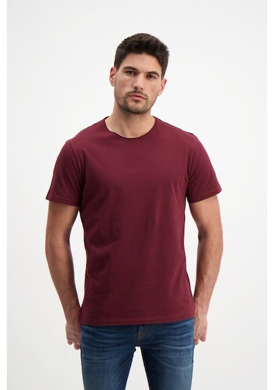 Rich Erkek Yıkamalı Basic T-Shirt (481343677)