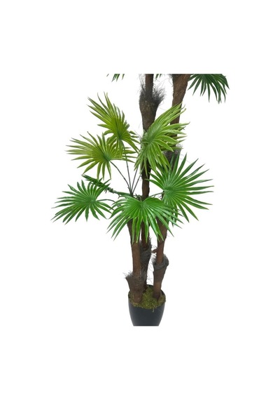 Yapay Ağaç Palmiye Fanpalm 3katlı 24yaprak Siyah Plastik Saksıda 165 65cm