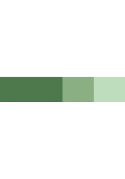 Schmincke Horadam Gouache Artist Guaj Boya 15 Ml Seri 1 530 Chromium Oxide Green Çok Renkli